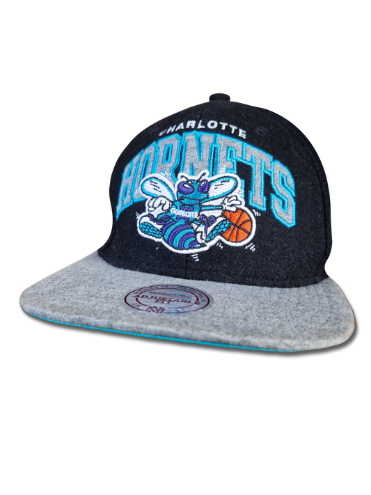 Moderne Mitchell&Ness Cap Charlotte Hornets NBA Blau Grau